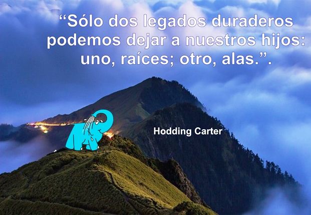 Una Enseñanza de Hodding Carter sobre La Educación, en La Frase del Día del Elefante Azul de Avilés